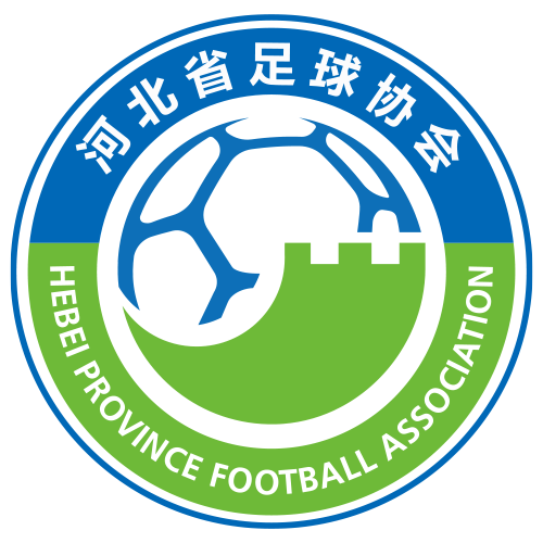 达拉斯独行侠