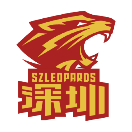 休斯敦火箭